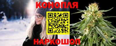 Альфа ПВП Аргун