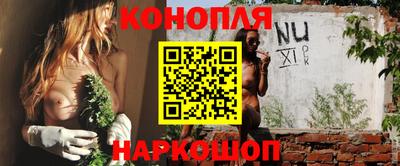 Альфа ПВП Аргун