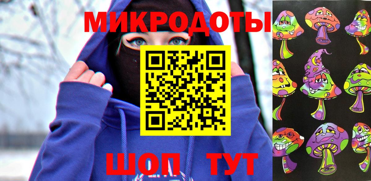 Галлюциногенные грибы Psilocybe Бугульма