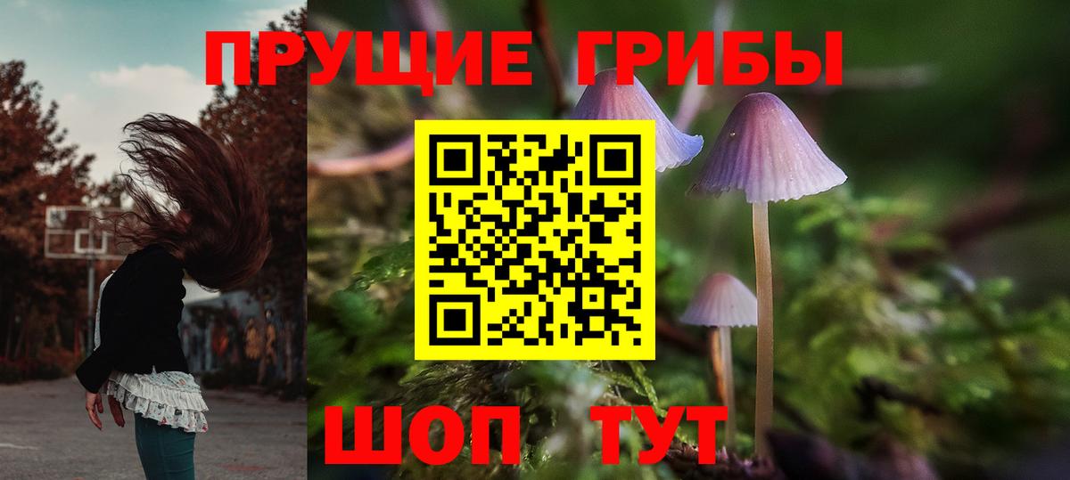 Бугульма  Галлюциногенные грибы Magic Shrooms  Псилоцибиновые грибы Psilocybe  Вход с VPN 